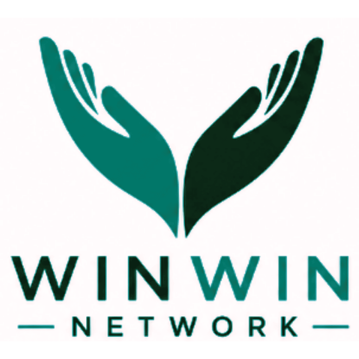 Win Win Network – Helping entrepreneurs build better businesses through experience, strategy, Human and Artificial Intelligence